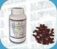 Grape Seed Extract